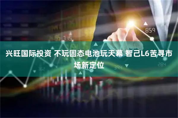 兴旺国际投资 不玩固态电池玩天幕 智己L6苦寻市场新定位