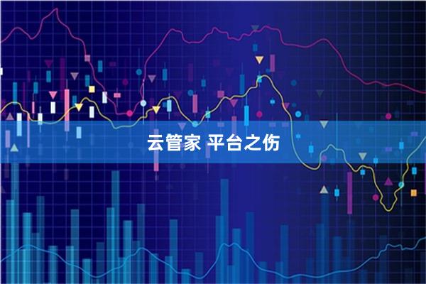 云管家 平台之伤