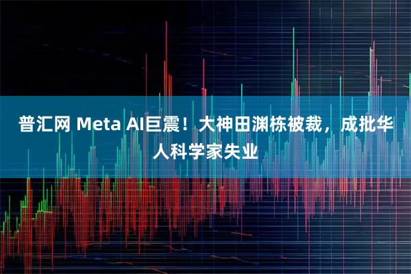 普汇网 Meta AI巨震！大神田渊栋被裁，成批华人科学家失业