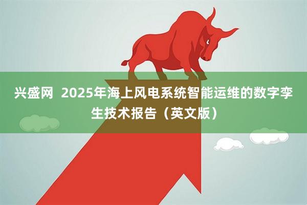 兴盛网  2025年海上风电系统智能运维的数字孪生技术报告（英文版）