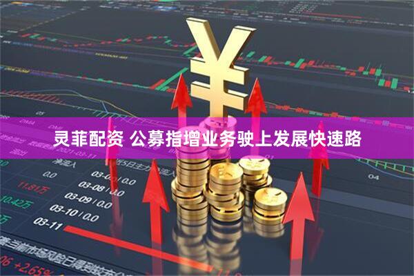 灵菲配资 公募指增业务驶上发展快速路