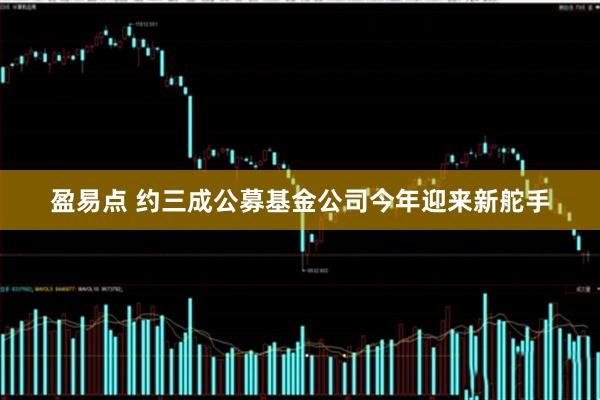盈易点 约三成公募基金公司今年迎来新舵手