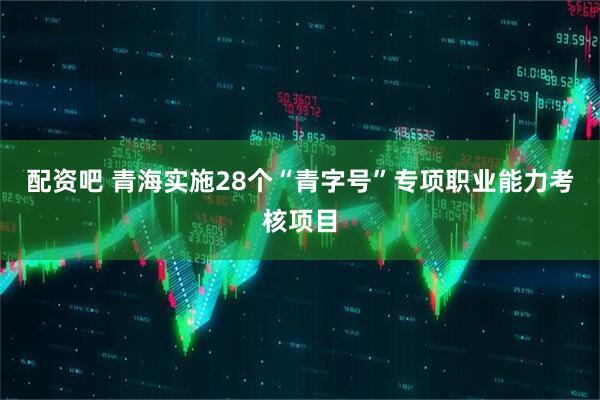 配资吧 青海实施28个“青字号”专项职业能力考核项目