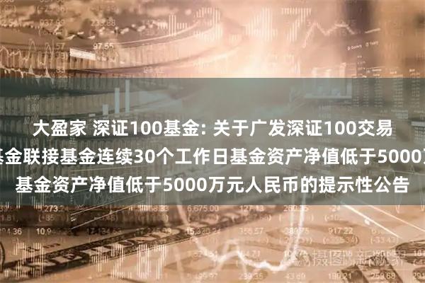 大盈家 深证100基金: 关于广发深证100交易型开放式指数证券投资基金联接基金连续30个工作日基金资产净值低于5000万元人民币的提示性公告