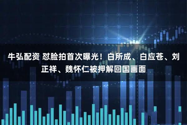 牛弘配资 怼脸拍首次曝光!白所成、白应苍、刘正祥、魏怀仁被押解回国画面