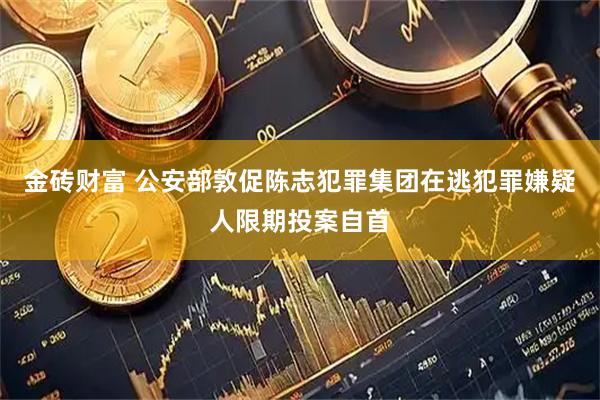 金砖财富 公安部敦促陈志犯罪集团在逃犯罪嫌疑人限期投案自首